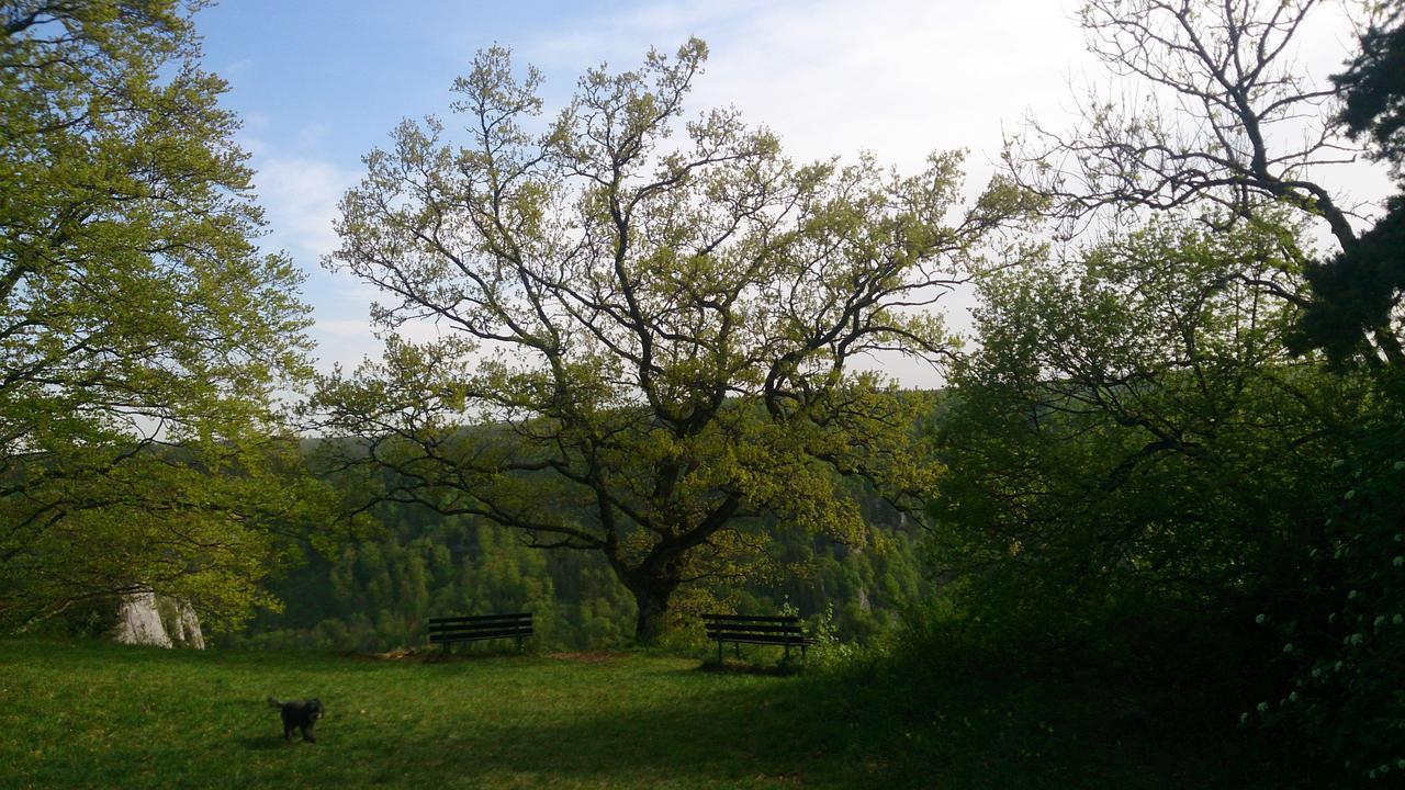 Berghaus Knopfmacher Fridingen an der Donau Exterior photo