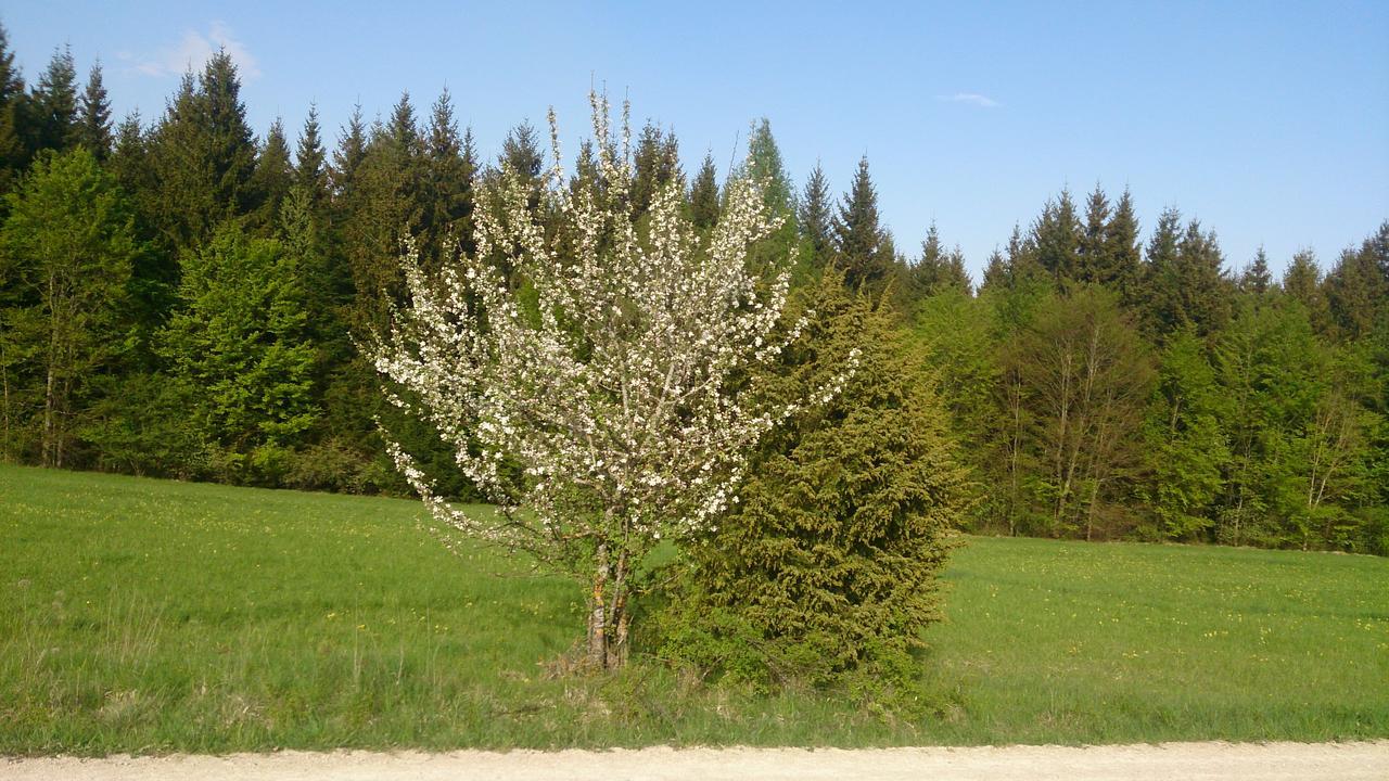 Berghaus Knopfmacher Fridingen an der Donau Exterior photo